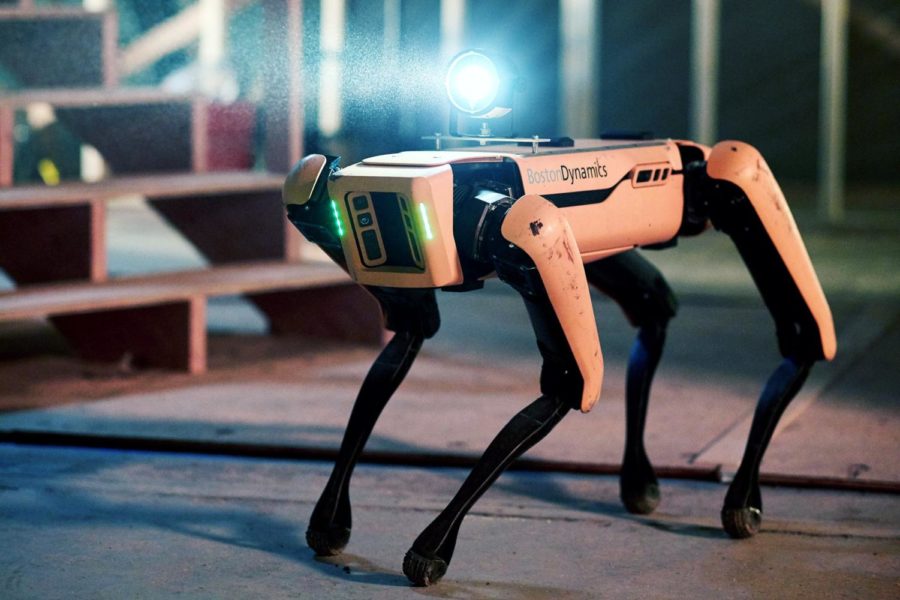 Photograph: Courtney Ryan / Boston Dynamics